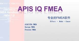 APIS IQ FMEA